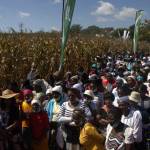 farmers-attending-a-pfumvudza-field-day-in-chiendambuya-recently 1