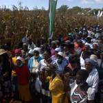farmers-attending-a-pfumvudza-field-day-in-chiendambuya-recently 4